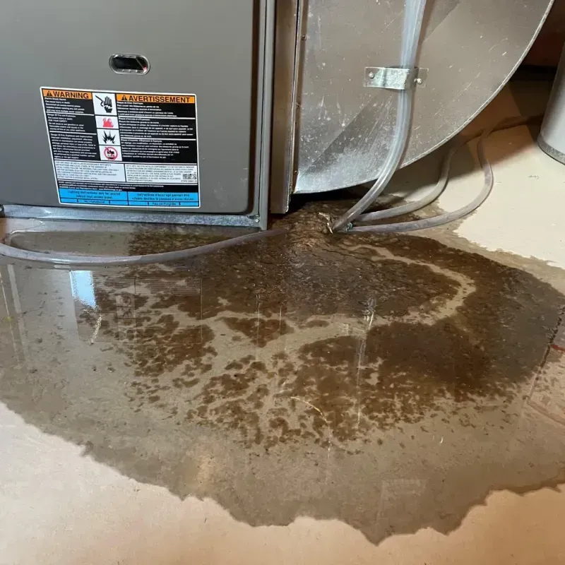 Appliance Leak Cleanup in Richton Park, IL